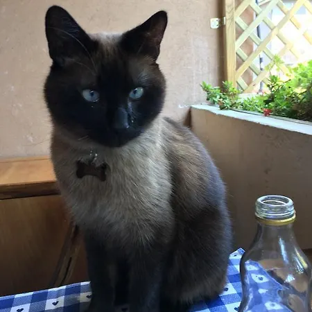 Luisa Alojamento de Acomodação e Pequeno-almoço Bérgamo